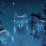 Top warrior cats wallpaper 4k Download