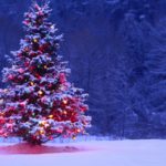 Download widescreen christmas wallpaper HD