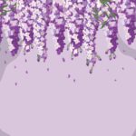 Top wisteria background 4k Download