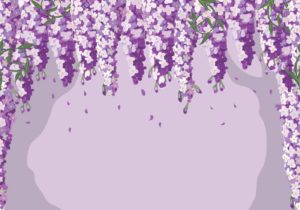 Top wisteria background 4k Download