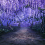 Top wisteria background free Download