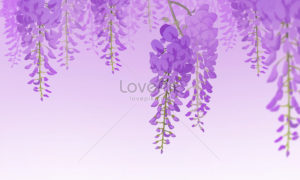 Top wisteria background Download