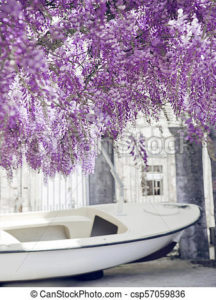 Download wisteria background HD