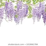 Top wisteria background free Download