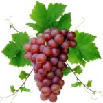 Download red grapes wallpaper HD