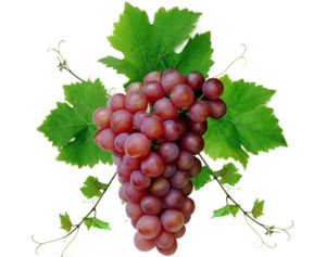 Download red grapes wallpaper HD