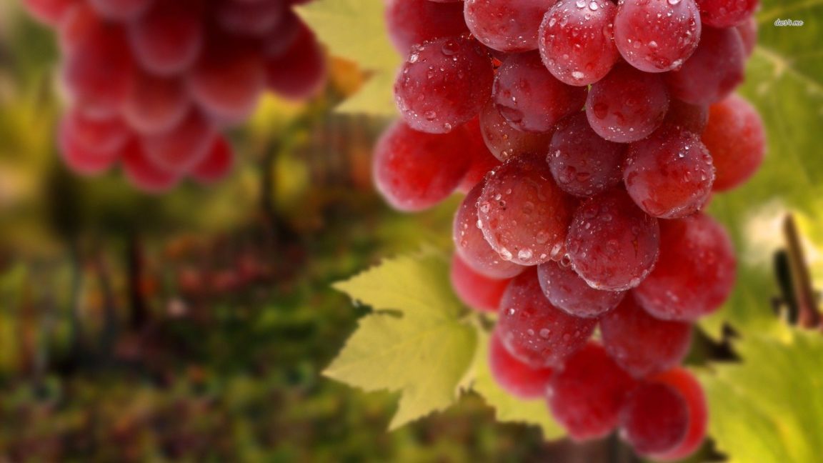 Download red grapes wallpaper HD