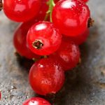 Top red grapes wallpaper free Download