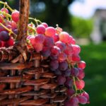 Top red grapes wallpaper 4k Download