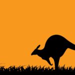 kangaroo wallpapers laptop backgrounds silhouettes 4k animals wallpapercave 1080 1920