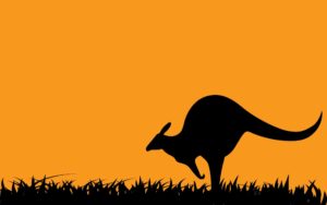 kangaroo wallpapers laptop backgrounds silhouettes 4k animals wallpapercave 1080 1920