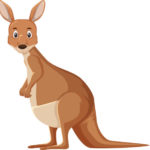 kangaroo cartoon clipart character transparent webstockreview