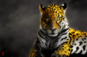 jaguar animals jungle branch leopard background misty animal rainforest club wallpapers13