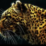 jaguar painting deviantart animals anime paintings piece px wallpapers