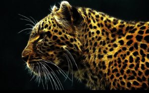 jaguar painting deviantart animals anime paintings piece px wallpapers