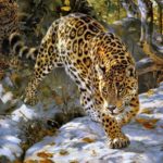 jaguar painting animals wallpaperup wallpapers log sign