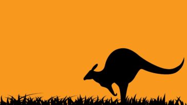 kangaroo cartoon wallpapers australia background kangaroos animals desktop thinglink canguru cool theme wallpapercave am