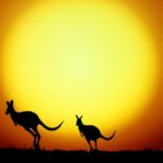 kangaroo cartoon vector animal ears system vecteezy happy edit