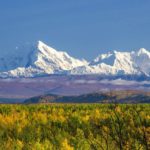 alaska denali park national mountains snow lake clouds trees wallpapers iphone desktop wallpapermaiden 1920 1080