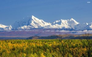 alaska denali park national mountains snow lake clouds trees wallpapers iphone desktop wallpapermaiden 1920 1080