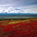 arctic gates alaska national park river preserve wallpapers brooks desktop fairbanks landscape 1920 central earth parks background 1080 superb snake