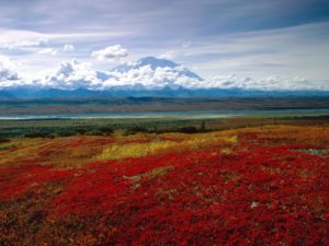 arctic gates alaska national park river preserve wallpapers brooks desktop fairbanks landscape 1920 central earth parks background 1080 superb snake