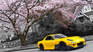 mazda rx7 rx fd3s cherry wallpapers cars re amemiya blossom initial fd yellow jdm desktop background flickr tuning status rotary