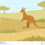 kangaroo clip clipart joey australian animals kangaroos rock rocks painted australia zoo картинки мультяшные