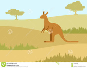 kangaroo clip clipart joey australian animals kangaroos rock rocks painted australia zoo картинки мультяшные