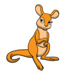 funny animals wallpapers sunglasses kangaroo kangaroos australia wallpoper funniest
